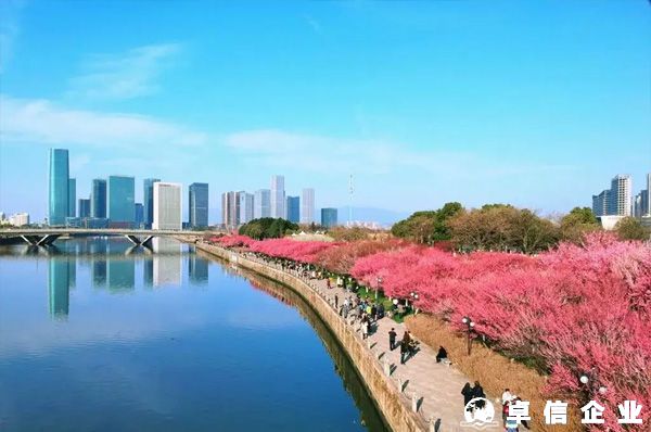 注冊義烏個體戶怎樣突破個人五萬金額結(jié)匯